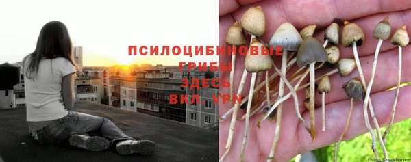 гидропоника Алексеевка