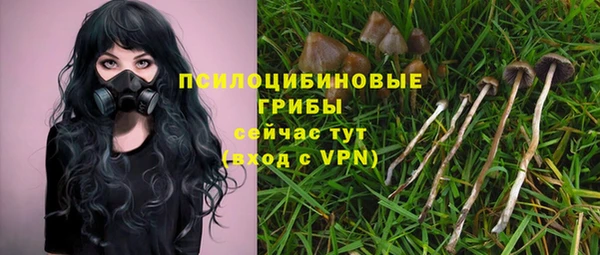 круглые Алзамай