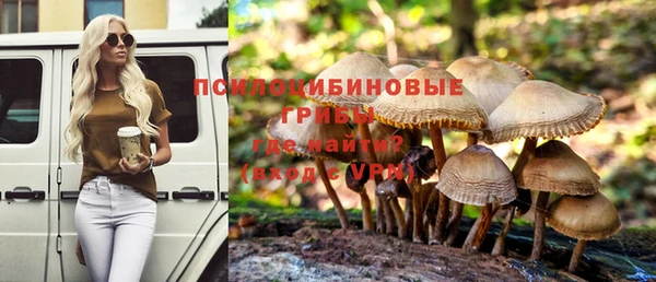 круглые Алзамай