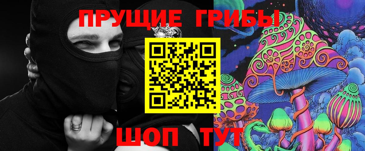 Геленджик  где можно купить   Вход с VPN  Галлюциногенные грибы MAGIC MUSHROOMS 