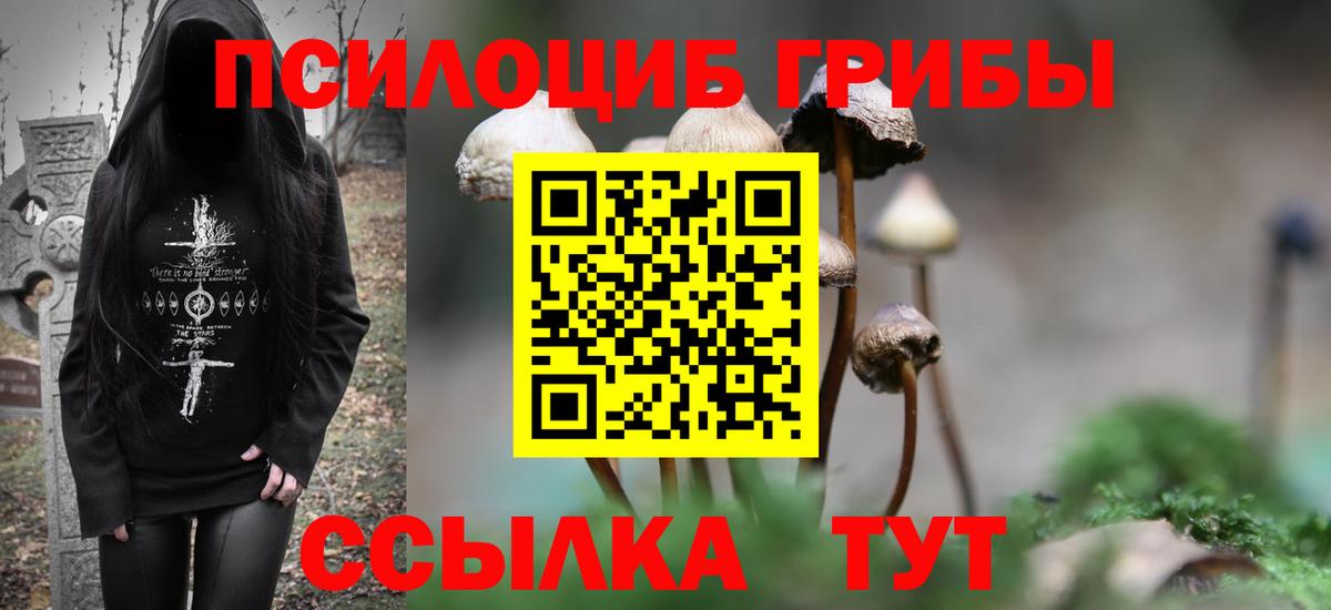Галлюциногенные грибы мицелий Геленджик