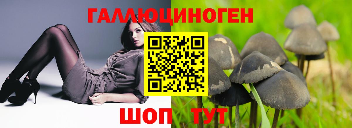 Геленджик  Псилоцибиновые грибы GOLDEN TEACHER  Вход с VPN 