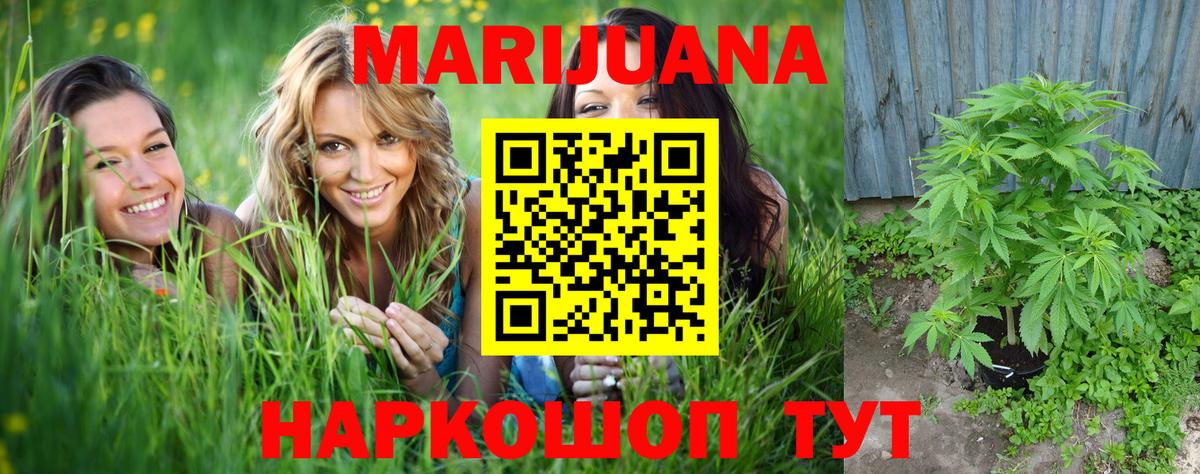 Бошки Шишки сатива Геленджик