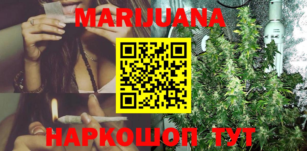 Канабис OG Kush Геленджик